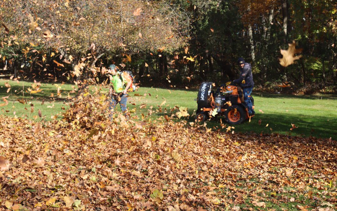 Last call for fall cleanups!