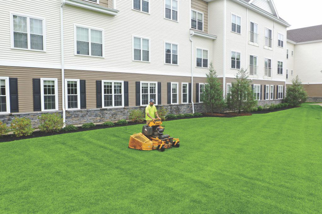 new lawn installation services