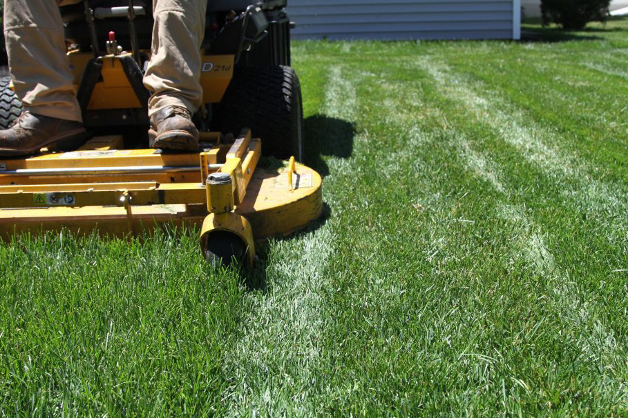 Lawn Makeover Weymouth, MA