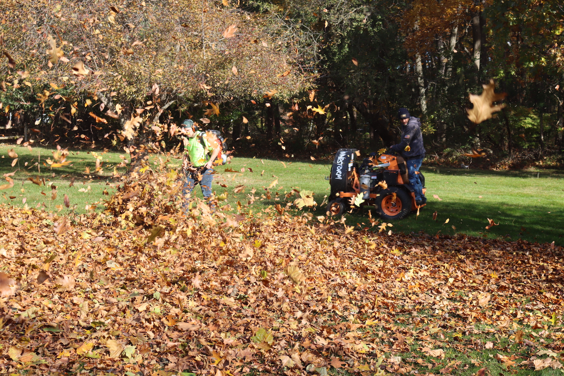 fall cleanup landscaping