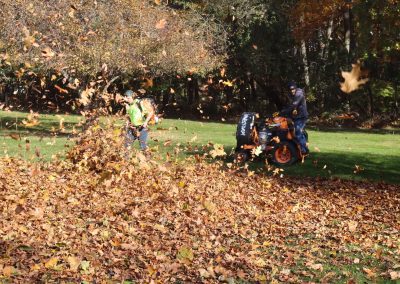 Fall Cleanup Highlights