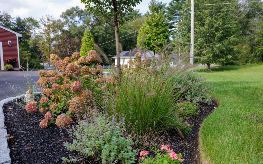 Enhance Your Garden: The Importance and Benefits of Mulching