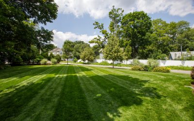 Seasonal Lawn Care Checklist: What Your Landscape Needs in Every Season