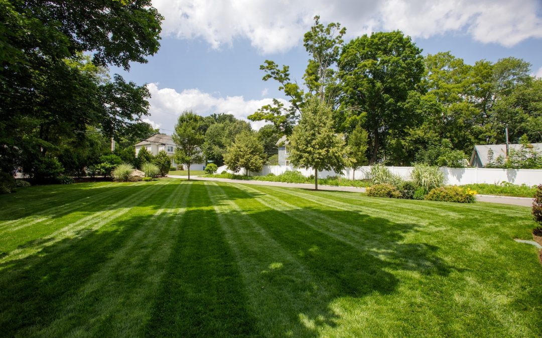 Essential Fall Lawn Care Tips for Stoughton, MA Homeowners