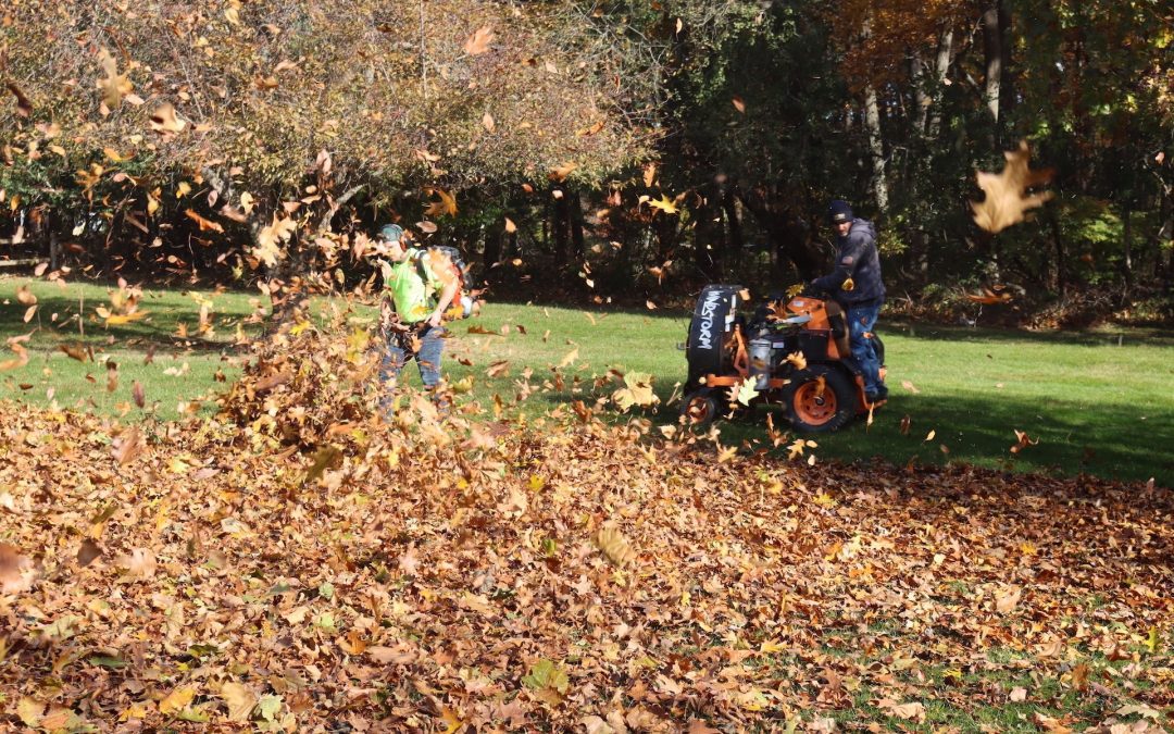 Why Fall Maintenance is Crucial for Stoughton, MA Landscapes