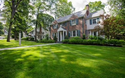 Year-Round Landscape Maintenance: How to Keep Your Property Looking Its Best in Every Season