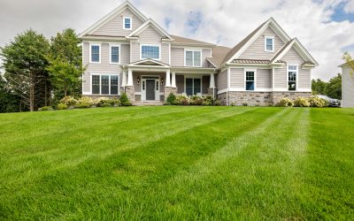 Sustainable Landscaping: Eco-Friendly Practices for a Greener Yard