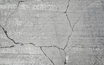 The Cost of Ignoring Drainage Problems in Your Landscape