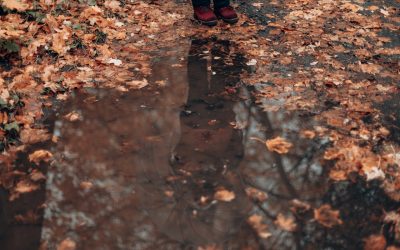 Solving Soggy Yards: Top Residential Drainage Solutions That Work