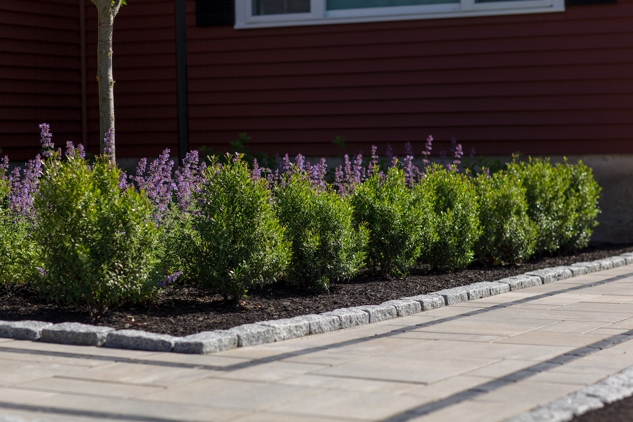 landscape contractor